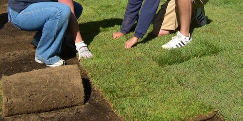 Sod Installation Free Estimate