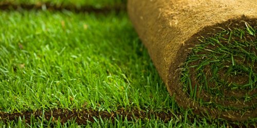 Sod Installation Free Estimate