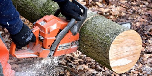 Tree Service, Tree Removal, Tree Care, Tree Trimming, Tree Cutting, Tree Company